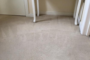 Profesjonalne pranie dywanów i tapicerki.