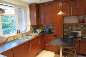JEDYNKA W ZADBANYM, SPOKOJNYM DOMU Z INTERNETEM I OGRÓDKIEM £100 BLISKO FINSBURY PARK