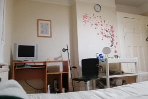 POKÓJ JEDYNKA 3 STREFA OD ZARAZ