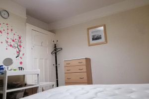 POKÓJ JEDYNKA 3 STREFA OD ZARAZ