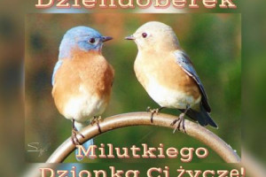 Prawdziwa przyjacielska znajomość