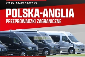 PACZKI DO POLSKI LONDYN - PRZEPROWADZKI DO POLSKI LONDYN -PACZKI POLSKA ANGLIA LONDYN